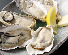 Oysters