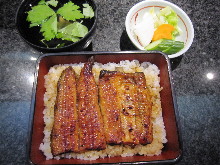 Eel served over rice in a lacquered box