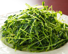 Stir-fried pea shoots