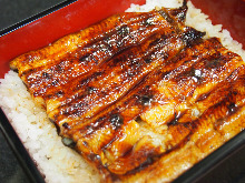 Eel served over rice in a lacquered box