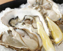 Raw oyster