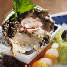 Abalone sashimi