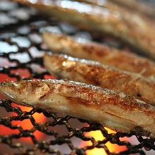 Seared shishamo smelt