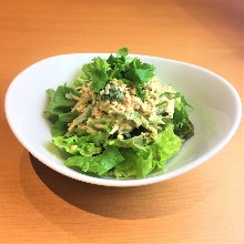 Tuna and coriander salad