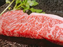 Wagyu beef steak