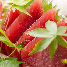 Maguro(tuna)