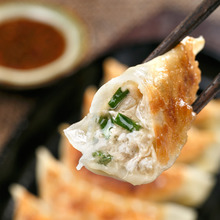 Gyoza