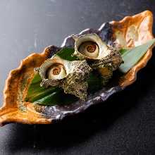 Grilled turban shell