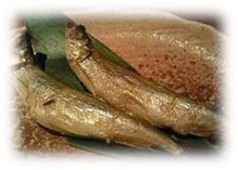 Shishamo smelt with roe Shishamo smelt with roe