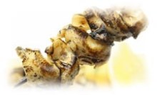 Grilled whelk skewer