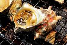 Grilled turban shell