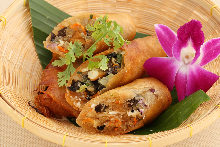 Deep-fried spring roll