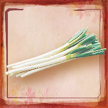 Japanese leek skewer