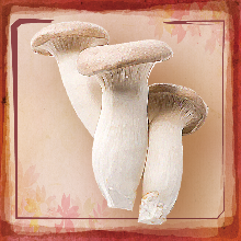 Eringi (king oyster) mushroom skewer