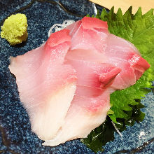 Japanese amberjack sashimi