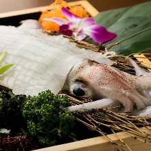 Live spear squid sashimi