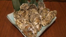 Oysters