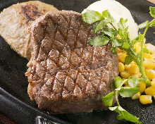 Tenderloin steak and hamburg steak combo