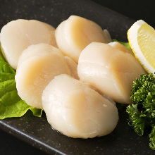 Scallops