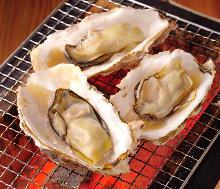 Assorted grilled oysters