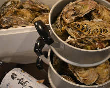 Steamed oyster