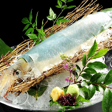 Live squid sugata-zukuri (sliced sashimi served maintaining the look of the whole squid)