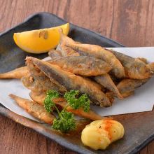 Fried small horse mackerel