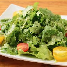 Coriander salad