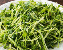 Stir-fried pea shoots