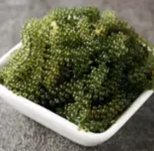 Sea grapes