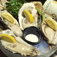 Oysters