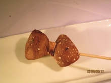 Fried skewer / Cutlet skewer