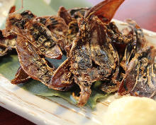 Lightly-dried firefly squid