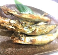 Grilled shishamo smelt