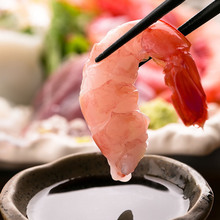 Ama ebi (pink shrimp)