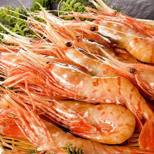 Botan shrimp sashimi