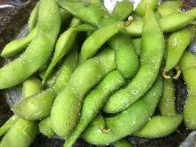 Edamame beans