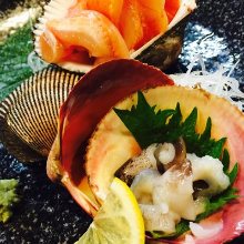 Assorted shellfish sashimi