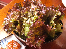 Sangchu (Korean stem lettuce)