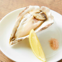 Raw oyster