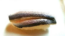 Kohada(spotted sardine)