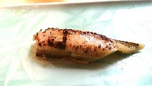 Anago(eel)