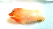 Sakhalin surf clam Sakhalin surf clam