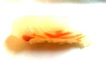 Pen shell sushi