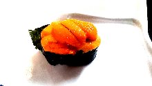 Uni(sea urchin)