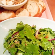 Coriander salad