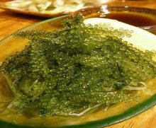 Sea grapes