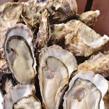 Unsalted grilled oyster