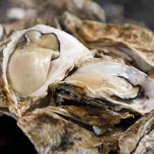 Raw oyster
