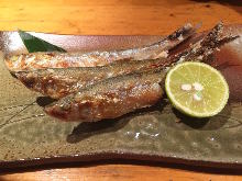 Grilled shishamo smelt